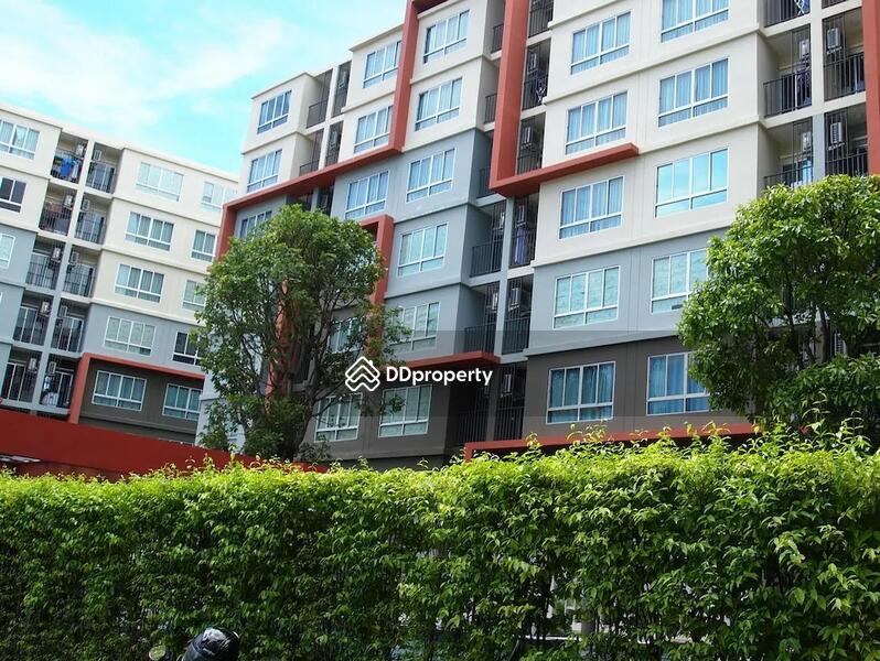 For Rent - Dcondo Kathu-Patong, Phuket
