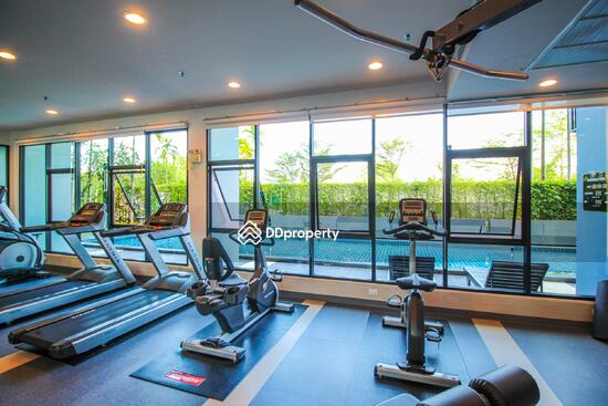ให้เช่า - Supalai Vista : ศุภาลัย วิสต้า, ภูเก็ต