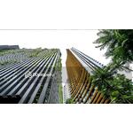 The Lumpini 24 : เดอะ ลุมพินี 24