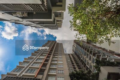  - Motif Condo
