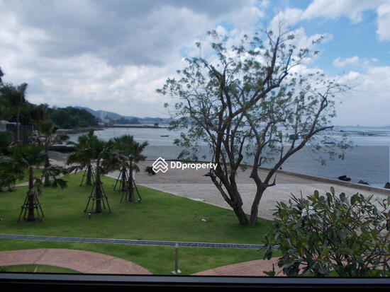 For Sale - Golden Coast Siracha (Phase 1), Chon Buri