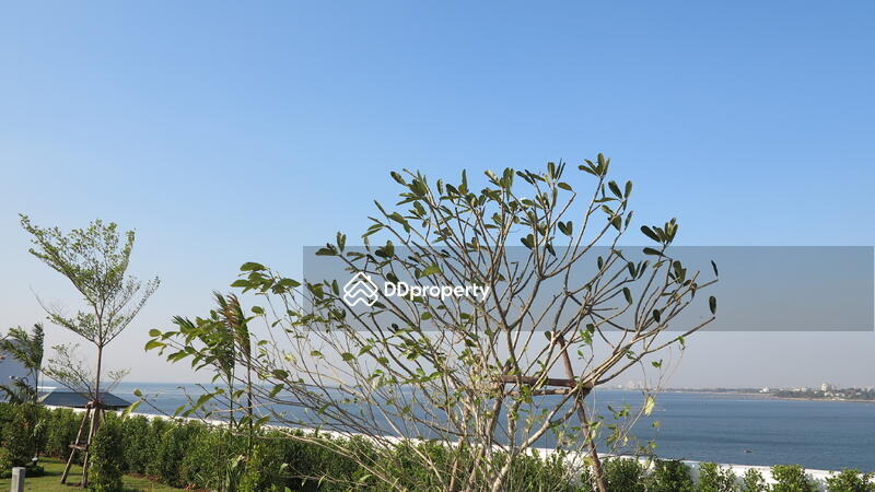 For Rent - Golden Coast Siracha (Phase 2), Chon Buri