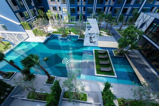 ให้เช่า - Niche Mono Ratchavipha : นิช โมโน รัชวิภา, กรุงเทพ