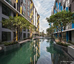 Fresh Condominium : เฟรช คอนโดมิเนียม #0