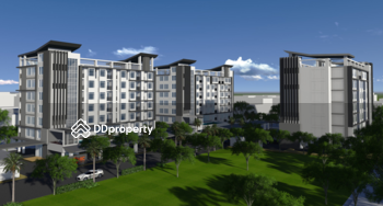 Chic Condo : ชิค คอนโด