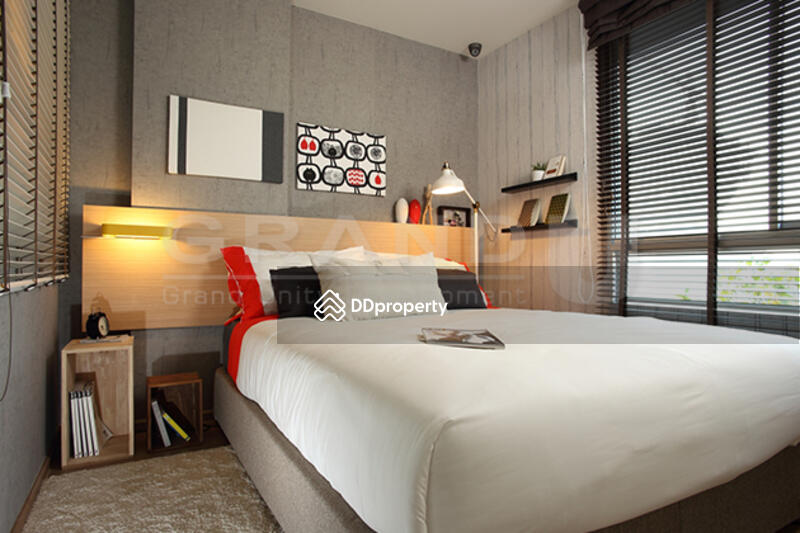 For Rent - U Campus Rangsit-Muangake, Pathum Thani