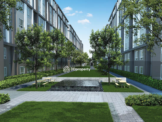 ให้เช่า - Dcondo Campus Resort Bangna : ดีคอนโด แคมปัส รีสอร์ท บางนา, สมุทรปราการ