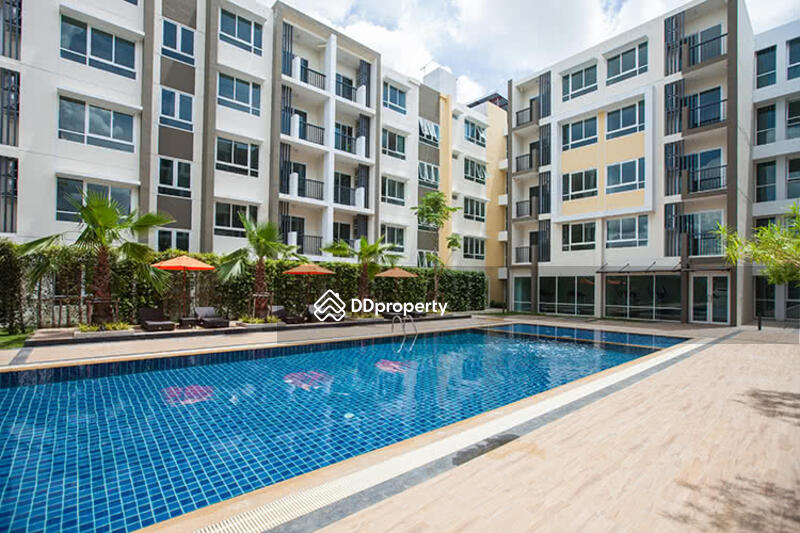 ขาย - Kalpapruek Grand Park Chiangrai : กัลปพฤกษ์ แกรนด์ พาร์ค เชียงราย, เชียงราย