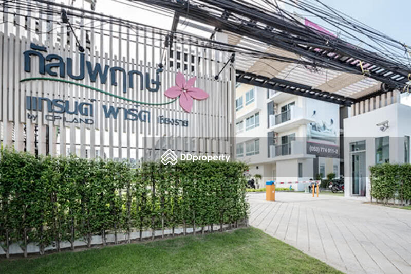 ขาย - Kalpapruek Grand Park Chiangrai : กัลปพฤกษ์ แกรนด์ พาร์ค เชียงราย, เชียงราย