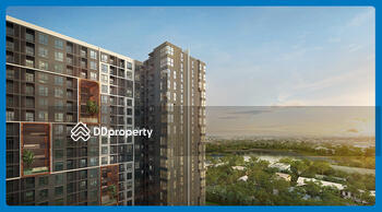 The Base Height Korat