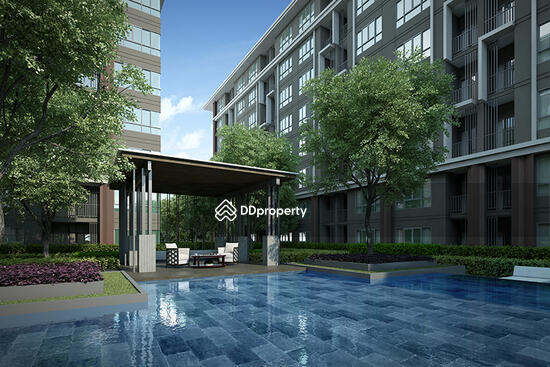 ขาย - Dcondo Hyde Chiang Rai : ดีคอนโด ฮาย เชียงราย, เชียงราย