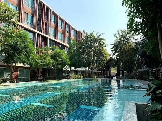 ขาย - D Vieng Santitham : ดีเวียง สันติธรรม, เชียงใหม่