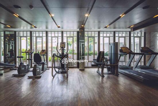 ให้เช่า - The Base Downtown : เดอะ เบส ดาวน์ทาวน์, ภูเก็ต