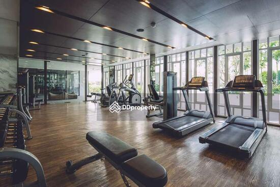 ให้เช่า - The Base Downtown : เดอะ เบส ดาวน์ทาวน์, ภูเก็ต