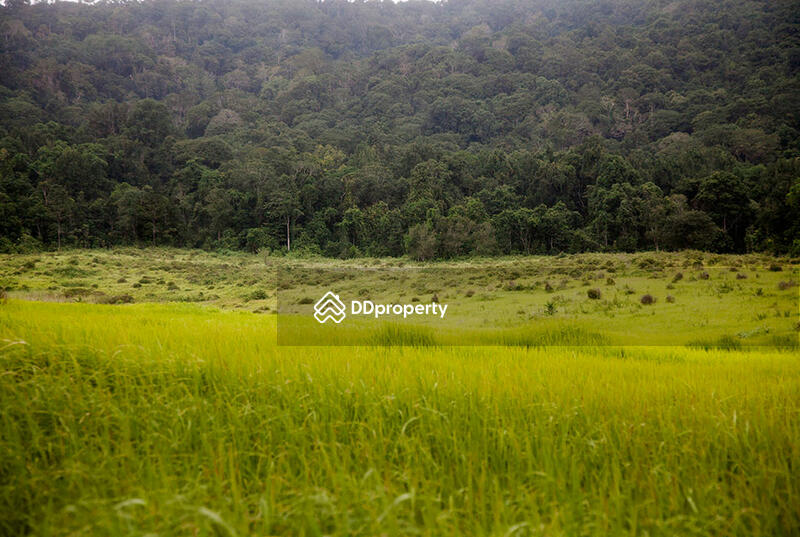 For Sale - The Valley KhaoYai, Bangkok