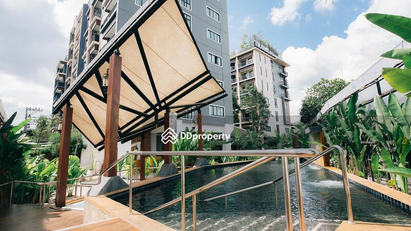 For Sale - Trams Square Condominium, Chiang Mai
