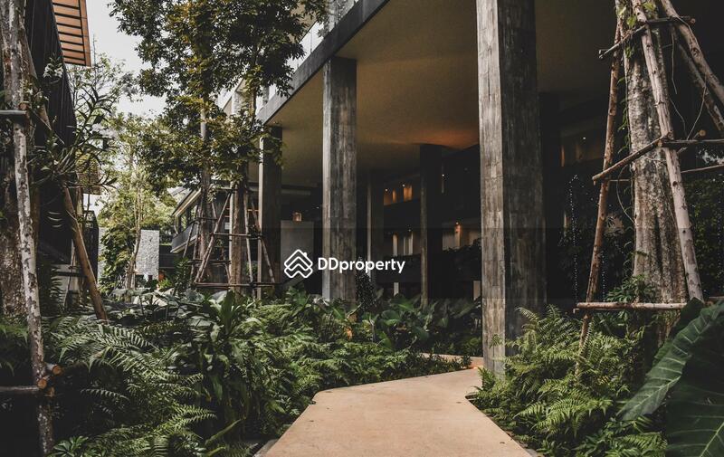 ขาย - Botanica Khao Yai : โบทานิก้า เขาใหญ่, นครราชสีมา
