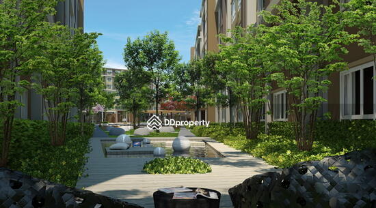 For Rent - Dcondo Campus Resort Rangsit, Pathum Thani