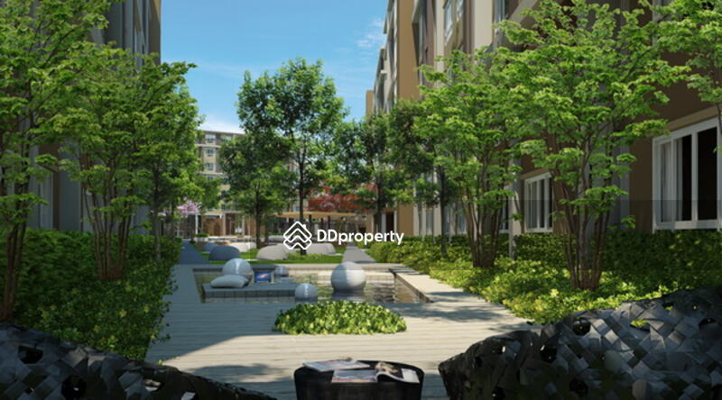 For Rent - Dcondo Campus Resort Rangsit, Pathum Thani