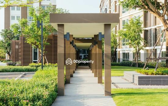 For Rent - Dcondo Campus Resort Rangsit, Pathum Thani