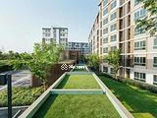 For Rent - Dcondo Campus Resort Rangsit, Pathum Thani