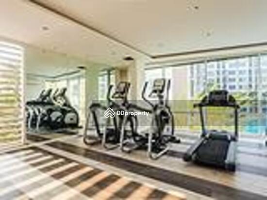 For Rent - Dcondo Campus Resort Rangsit, Pathum Thani
