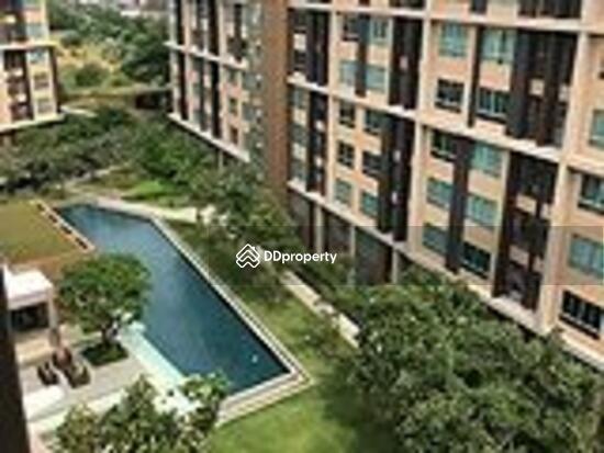 For Rent - Dcondo Campus Resort Rangsit, Pathum Thani