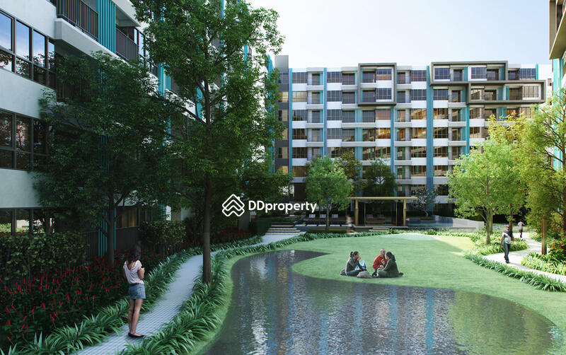 ให้เช่า - Centrio Condominium : เซนทริโอ คอนโดมิเนียม, ภูเก็ต