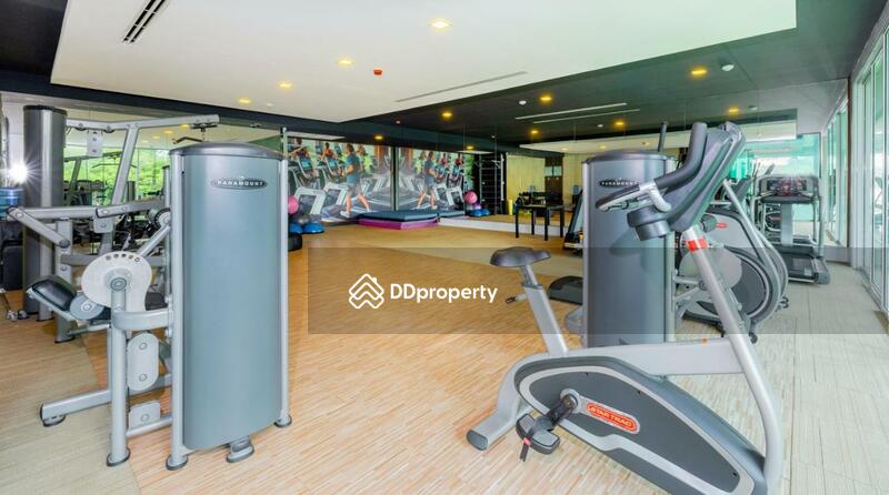 ขาย - Q Conzept Condominium : คิว คอนเซ็ปต์ คอนโดมีเนียม, ภูเก็ต