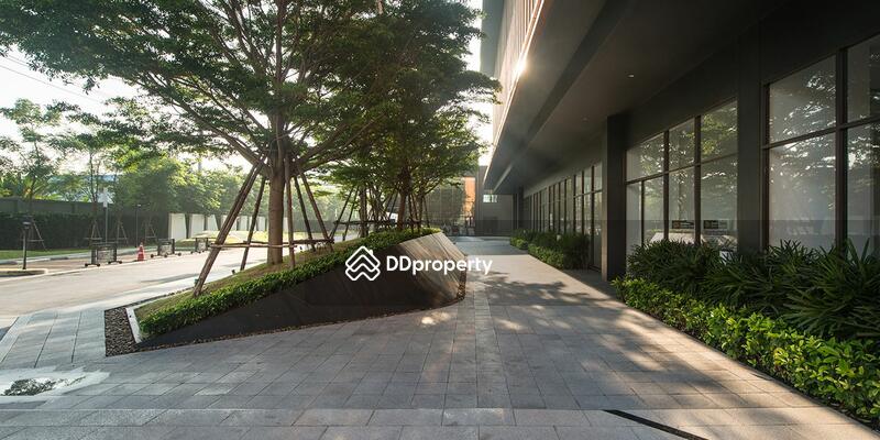 ขาย - The Tree Rio Bang-Aor Station : เดอะทรี ริโอ บางอ้อ สเตชั่น, กรุงเทพ