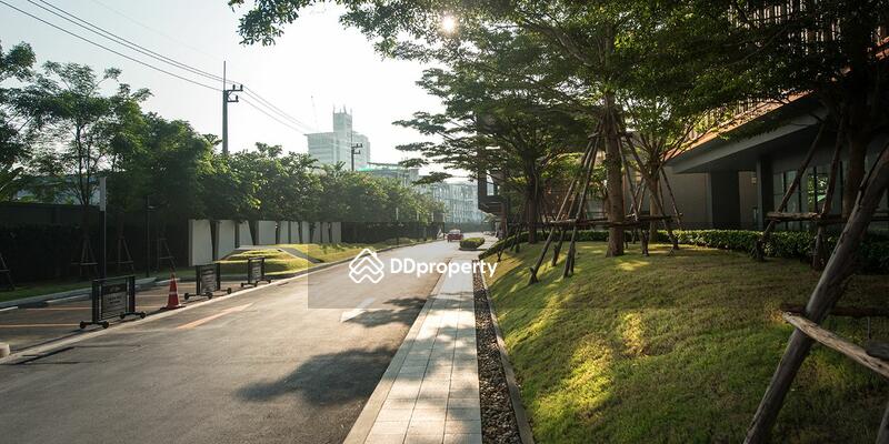 ขาย - The Tree Rio Bang-Aor Station : เดอะทรี ริโอ บางอ้อ สเตชั่น, กรุงเทพ