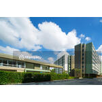 Lumpini Ville On Nut-Phatthanakan : ลุมพินี วิลล์ อ่อนนุช-พัฒนาการ