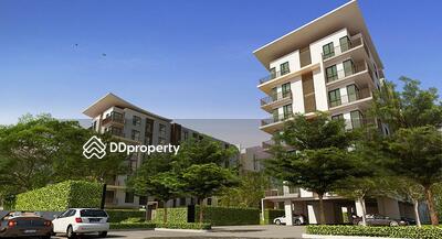 - Serene Lake North 1