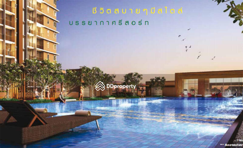 ให้เช่า - City Resort Pasawang : ซิตี้รีสอร์ท ภาสว่าง, สงขลา