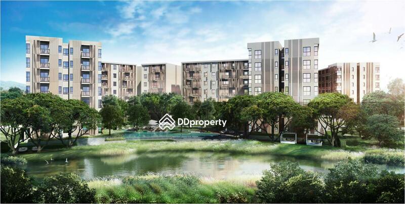 For Rent - The Issara Chiangmai, Chiang Mai