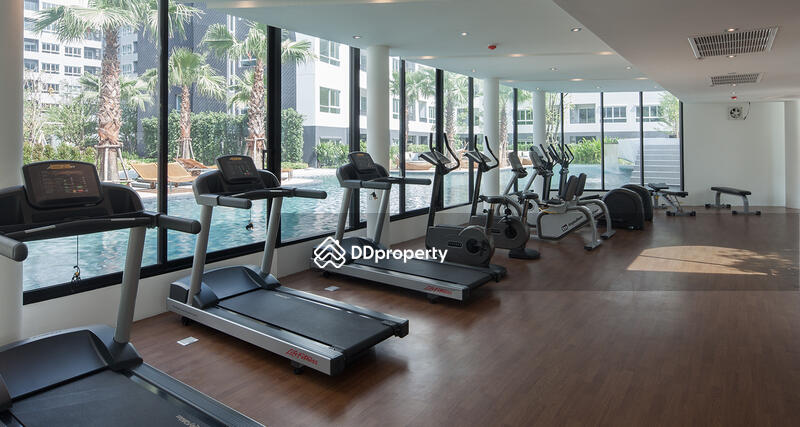 For Rent - Elio Del Ray, Bangkok