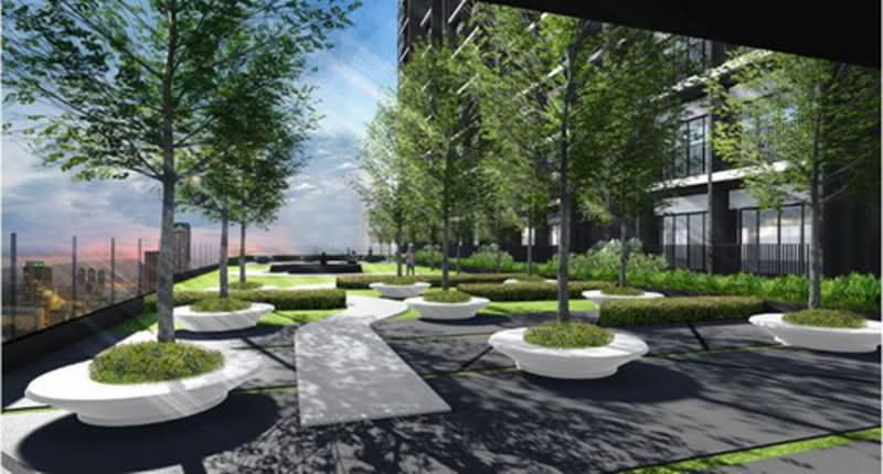 The Tree Rio Bang-Aor : เดอะ ทรี ริโอ บาง-อ้อ