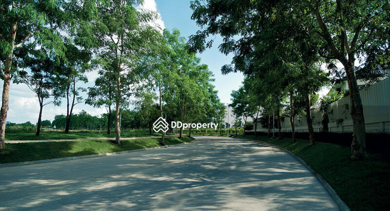 ขาย - Serene Lake North 4 : ซีรีน เลค นอร์ธ 4, เชียงใหม่