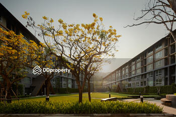 Dcondo Campus Resort Chiang Mai : ดีคอนโด แคมปัส รีสอร์ท เชียงใหม่