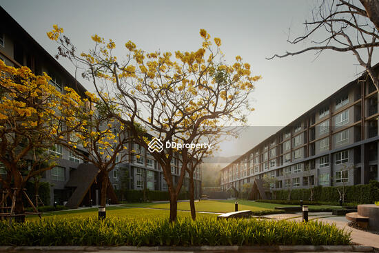 For Sale - Dcondo Campus Resort Chiang Mai, Chiang Mai