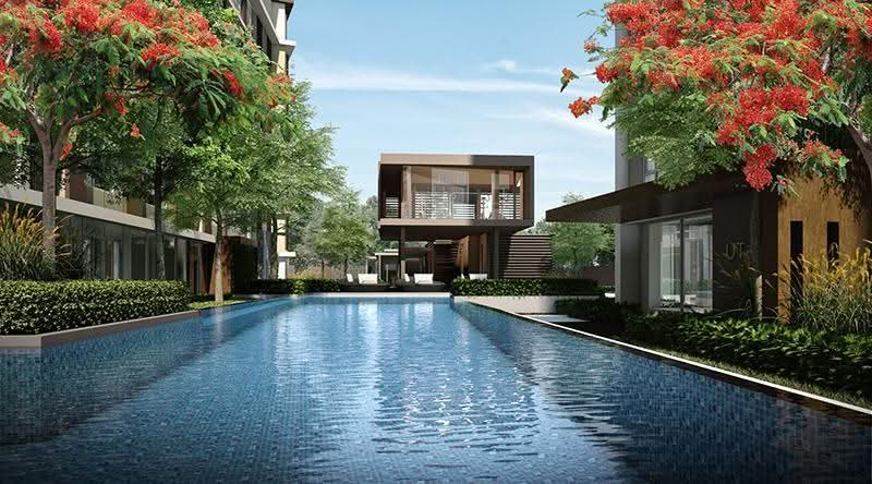 DCONDO รังสิต-ธรรมศาสร์