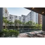 Hasu Haus : ฮาสุ เฮ้าส์