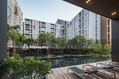 - Hasu Haus : ฮาสุ เฮ้าส์