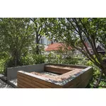 Hasu Haus : ฮาสุ เฮ้าส์