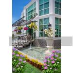 Olympus City Garden : โอลิมปัส ซิตี้ การ์เด้น