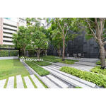 Hyde Sukhumvit 11 : ไฮด์ สุขุมวิท11