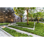 Hyde Sukhumvit 11 : ไฮด์ สุขุมวิท11