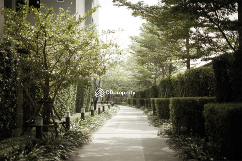 ขาย - A Space Play : เอ สเปซ เพลย์, กรุงเทพ