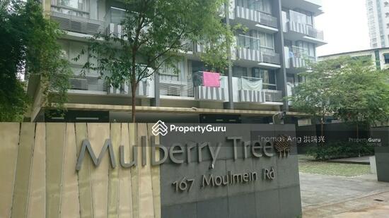 Mulberry Tree, 167 Moulmein Road, 2 Bedrooms, 710 sqft, Apartment For ...