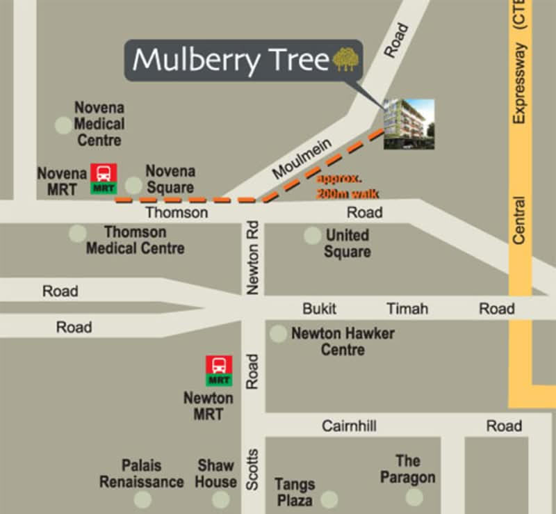 Mulberry Tree